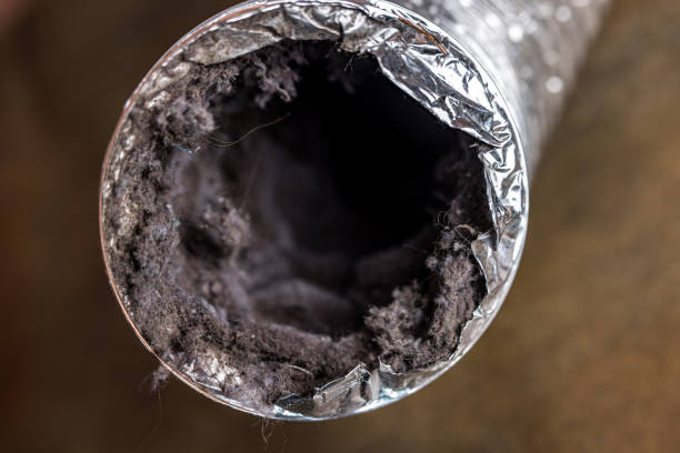Best Air Duct Cleaning Near Me  in Andover, MN