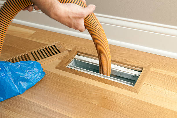 Best Dryer Vent Cleaning Services  in Andover, MN